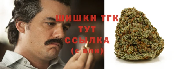 мдпв Горняк