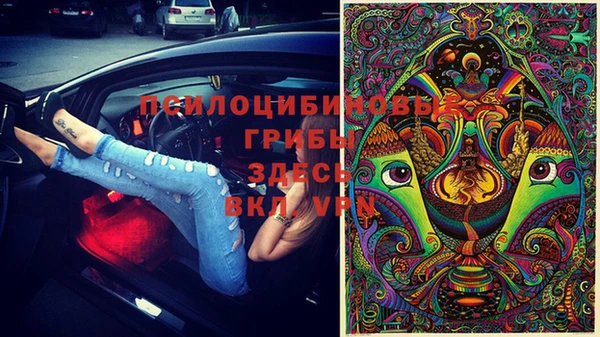 герыч Горнозаводск