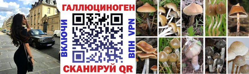 мориарти какой сайт  Тюмень  Псилоцибиновые грибы прущие грибы 