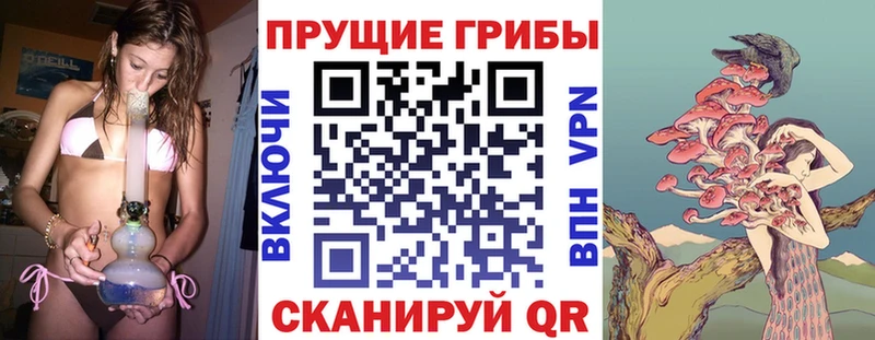 Галлюциногенные грибы ЛСД Тюмень